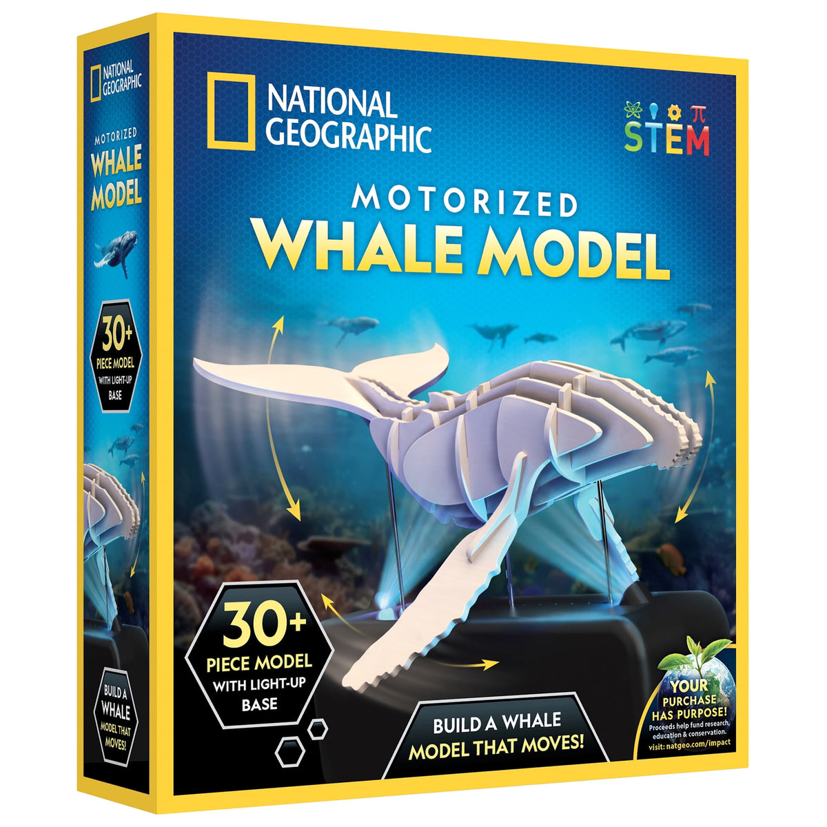 National Geographic Motorized Whale 3D Puzzle – 32-Piece Wooden Model Kit with Light-Up Display Base and Whale Facts, Moving Whale STEM Activity for Kids