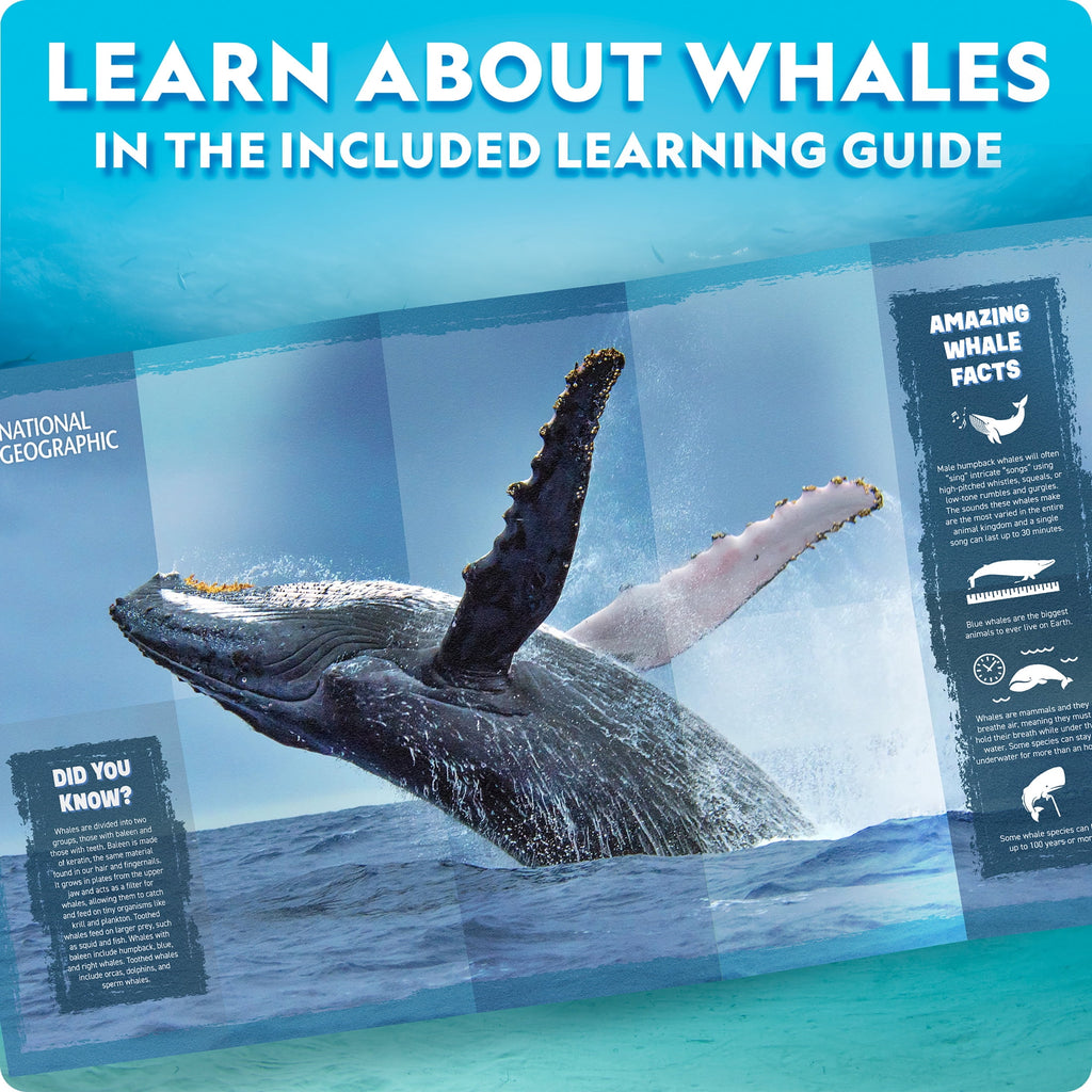 National Geographic Motorized Whale 3D Puzzle – 32-Piece Wooden Model Kit with Light-Up Display Base and Whale Facts, Moving Whale STEM Activity for Kids